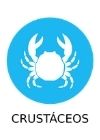 informacion alergenos crustaceos