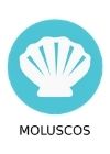 informacion alergenos moluscos informacion alergenos moluscos